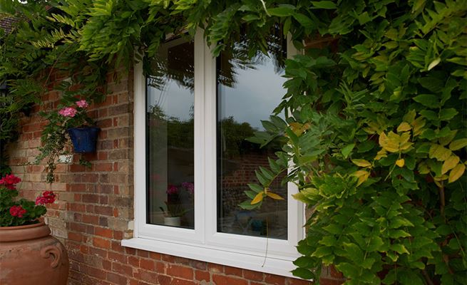 Triple glazed UPVC casement window finished in White with Wisteria growing around exterior from Anglian Home Improvements