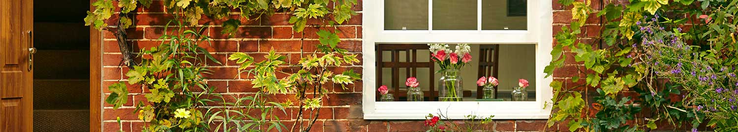 white wooden sash windows with pink roses on windowsill