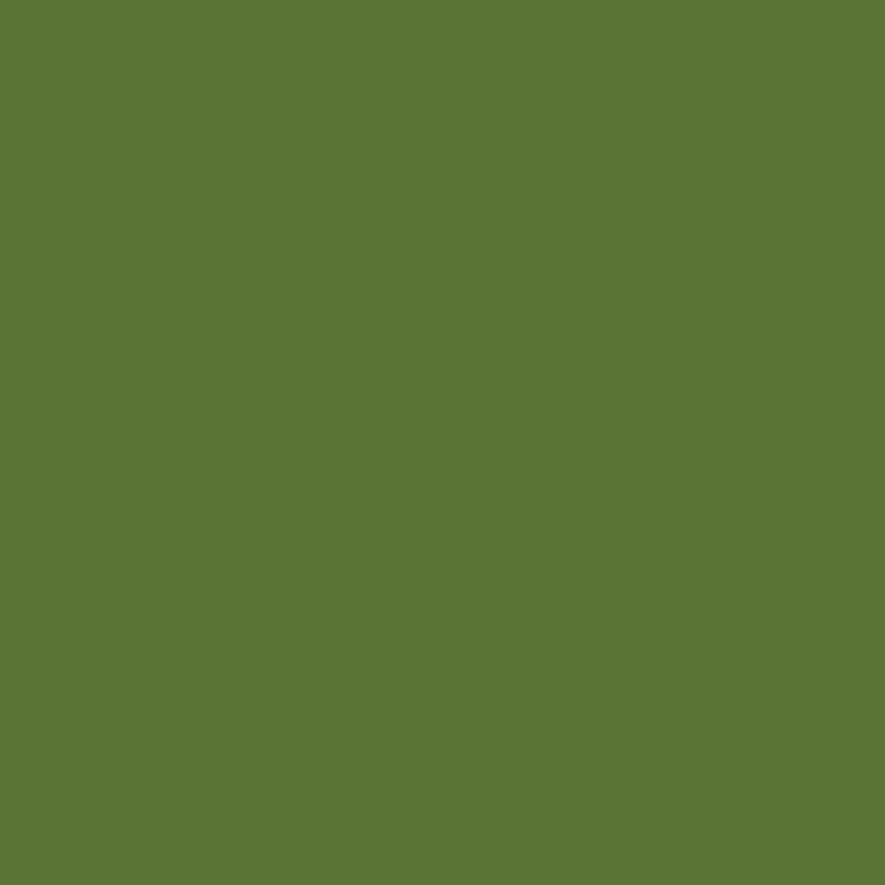Elite Fern Green door colour swatch from the Anglian composite door range