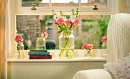 Close up of open White wooden sash window with gold window furniture and flowers from Anglian Home Improvements
