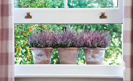 uPVC Sliding Sash window with heather in a window box