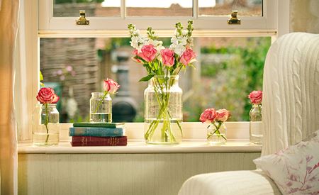 Stunning timber sliding sash window with red flowers on windowsill