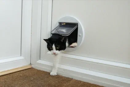 cat flap in upvc door cost