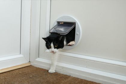 Cat Flaps For Doors How To Install Anglian Home